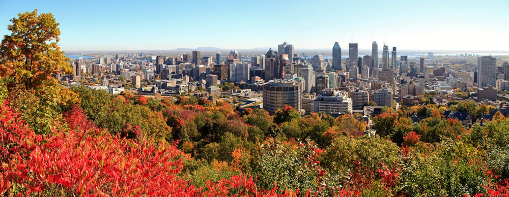 Deposito bagagli Montreal