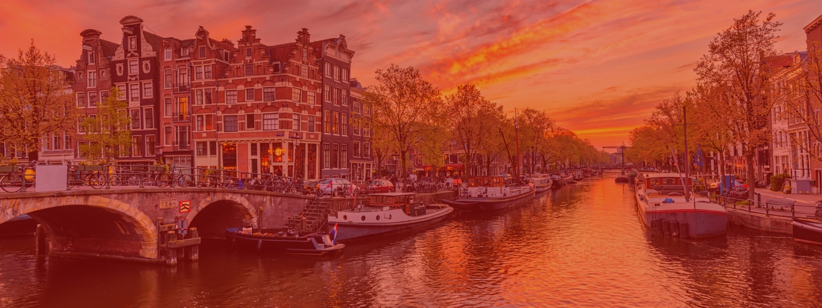 Amsterdam Coronavirus Updates