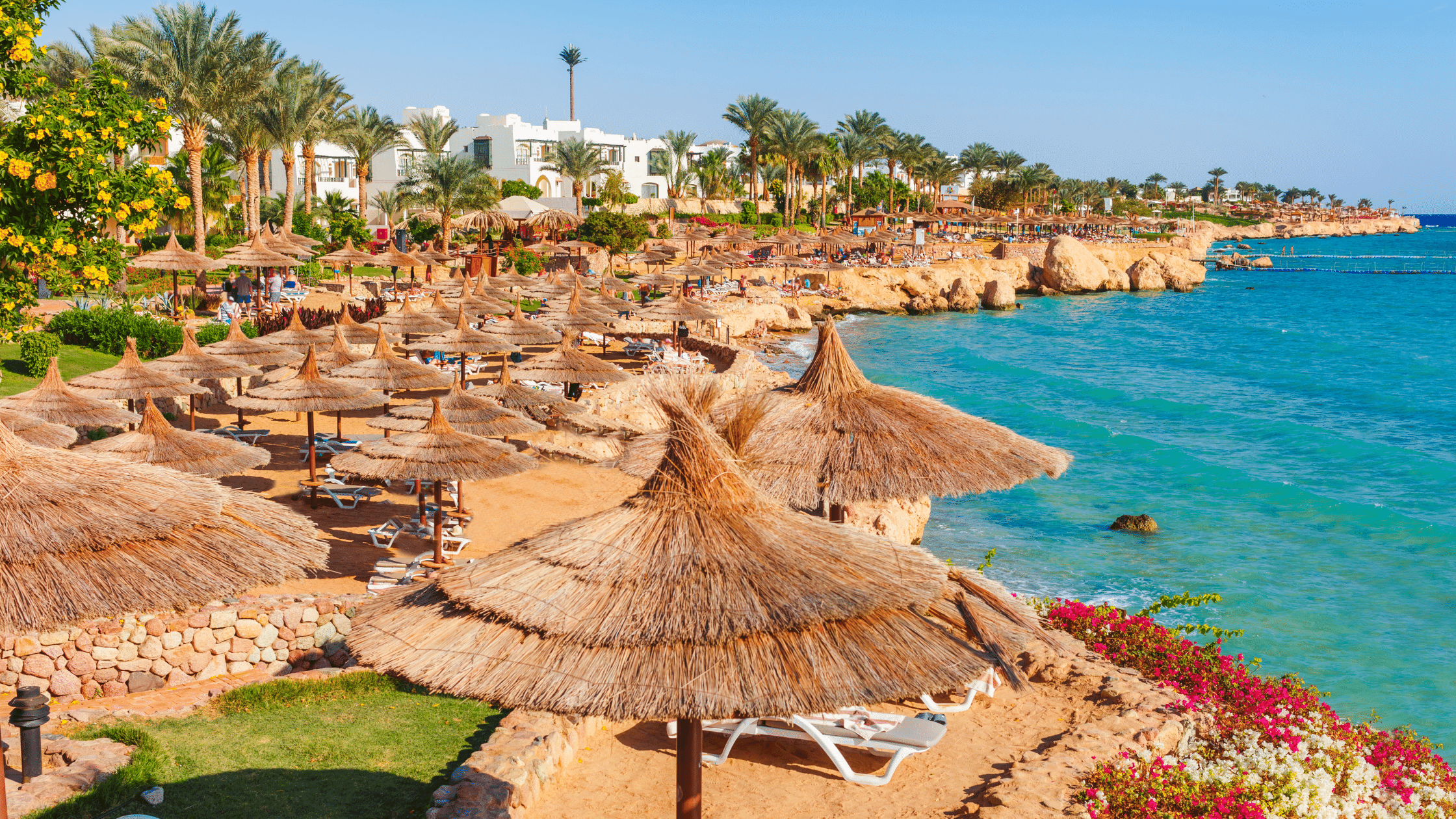 Untitled design - 2021-05-20T142630.183