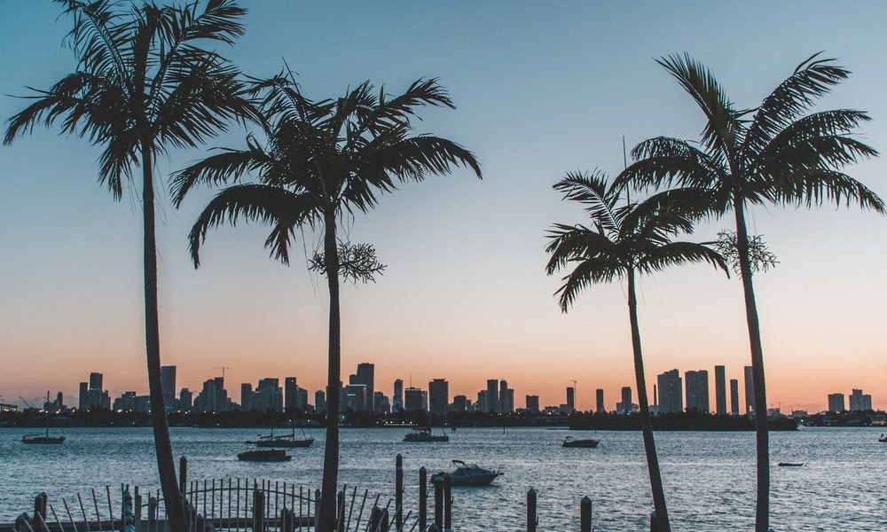 Shore and Skyline, Bags