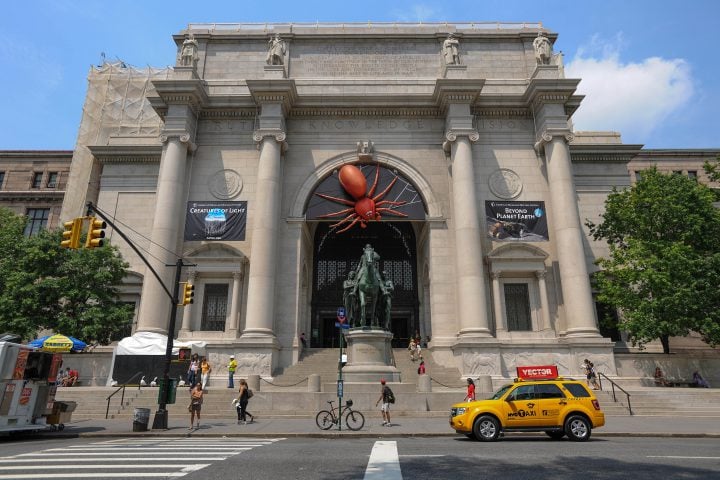 Consigna de equipaje en American Museum of Natural History